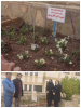 کاشت نهال به مناسبت هفته منابع طبیعی و نکوداشت اولین شهید مدافع سلامت&quot;شهید اکبر ناظری پور&quot; در مرکز علمی کاربردی غرب استیل
